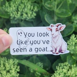 You  Look Like You&#39;ve Seen a Goat | 3&quot; sticker | vinyl decal | water bottle sticker | laptop sticker | never have I ever | Trent