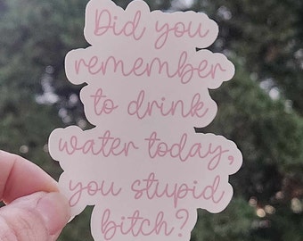 Did you remember to drink water today, you stupid bitch? | 3.5" sticker | water bottle sticker | laptop sticker | stay hydrated