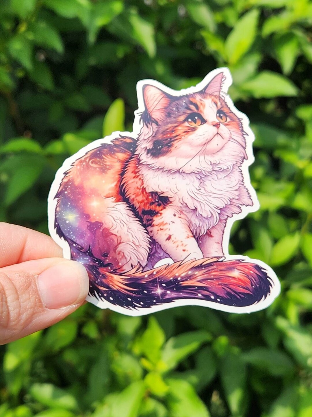 Calico Cat Sticker, Cat Breed Waterproof Sticker, Orange Black And