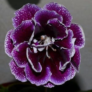 May include: A handcrafted wooden 'Welcome' sign in white with black lettering and a heart detail. Suitable for indoor or outdoor use. The sign's design features a cheerful, informal font.