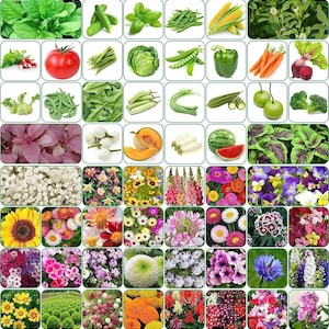 Seeds 100 variety(50 flower and 50 vegetable) seeds combo pack with instruction manual