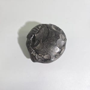 May include: A dark gray, circular stone object with a textured, uneven surface featuring multiple small, chipped indentations along its perimeter and a smooth, slightly rounded center, resembling a knapped flint or a decorative stone piece.