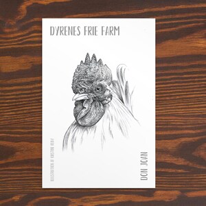 Pode incluir: Ilustração a preto e branco da cabeça de um galo, com sombreamento detalhado e uma crista proeminente. O texto "DYRENES FRIE FARM" está no topo, com "ILLUSTRATION BY KIRSTINE RUBY" e "DON JOAN" na parte inferior.