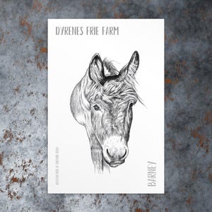 Pode incluir: Ilustração a preto e branco da cabeça de um burro, com o nome "Barney" impresso verticalmente à direita. O texto "DYRENES FRIE FARM" está no topo e "ILLUSTRATION BY KRISTINE KOBY" na parte inferior.