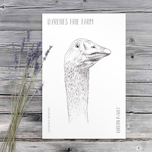 Pode incluir: Ilustração a preto e branco da cabeça e pescoço de um ganso, com o texto "DYRENES FRIE FARM" no topo e "KARSTEN P-VAGT" na parte inferior. A obra de arte está sobre um fundo branco, com raminhos de lavanda numa superfície de madeira.