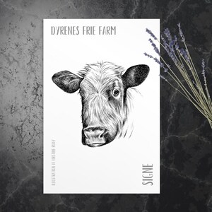 Pode incluir: Ilustração a preto e branco da cabeça de uma vaca num cartão branco. O cartão tem o texto "DYRENES FRIE FARM" no topo e "SIGNE" na parte inferior. A ilustração é assinada "ILLUSTRATION BY KIRSTINE RUBY".