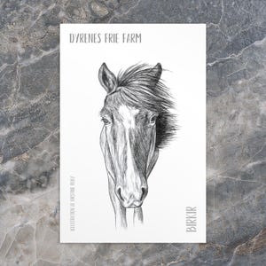 Pode incluir: Ilustração a preto e branco da cabeça de um cavalo, com o texto "DYRENES FRIE FARM" no topo e "BIRKIR" na parte inferior. A ilustração é assinada "ILLUSTRATION BY KIRSTINE RUBY".