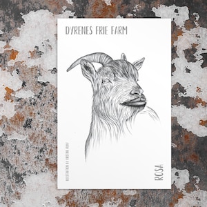 Pode incluir: Ilustração a preto e branco da cabeça de uma cabra num cartão branco. O cartão tem o texto "DYRENES FRIE FARM" no topo e "ROSA" na parte inferior. A ilustração é assinada "ILLUSTRATION BY KIRSTINE RUBY".