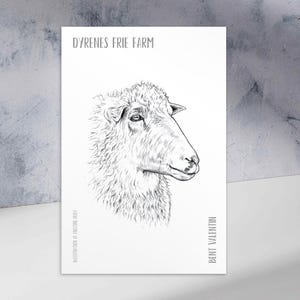 Pode incluir: Ilustração a preto e branco da cabeça de uma ovelha sobre fundo branco. O texto "DYRENES FRIE FARM" está no topo, com "ILLUSTRATION BY KRISTINE RUBY" e "BENT VALENTIN" na parte inferior. É um esboço detalhado.