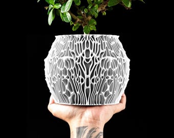 Indoor Planter Pot: Minimalist Design - Succulent Friendly | Planter Pot 006