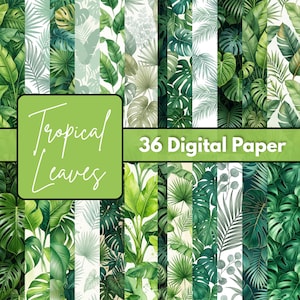 Può includere: Una collezione di 36 carte digitali con vari motivi di foglie tropicali in tonalità di verde, bianco e fogliame scuro. L'immagine include un riquadro verde sovrapposto con il testo bianco Tropical Leaves e 36 Digital Paper.