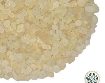 Chios Mastic Gum Resin | 100% Authentic Greek Mastiha | Natural Pistacia Lentiscus Tears | Rumi Mastagi