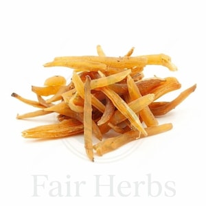 Natural dried Asparagus racemosus roots arranged on rustic herbal background