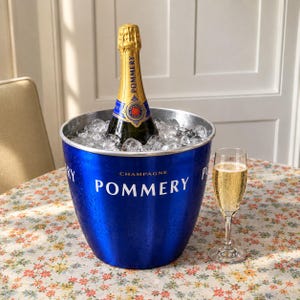 Pommery Ice Bucket - Etsy
