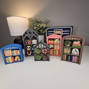 May include: A collection of five miniature 3D-printed bookshelves in blue, gray, pink, and brown. Each shelf contains tiny decorative items including books, potted plants, a skull, a frog, a clock, and framed art. The shelves feature arched tops.