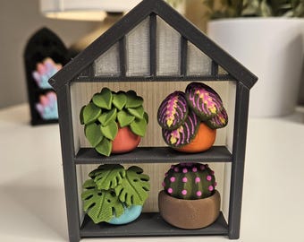 Juguete antiestrés con forma de invernadero impreso en 3D personalizado / Elige plantas o libros / Juguete de escritorio personalizado