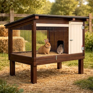 May include: A dark brown wooden rabbit hutch with wire mesh sides and a cream door. Two rabbits, one brown and one grey, are inside. The hutch is on a bed of straw, with a wooden fence and trees in the background.