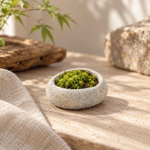 May include: A small, round, grey stone planter with a textured, natural surface. The interior of the bowl is filled with vibrant green moss, creating a compact, circular container for small plants with a smooth, pebble-like exterior finish.
