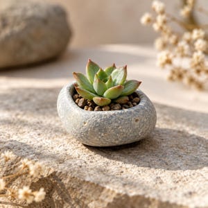 Mini Natural Stone Planter Set, Handmade Tiny Succulent Pots with Drainage Holes, Set of 3 or 5