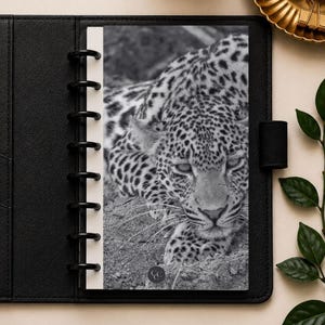 Könnte beinhalten: Ein schwarzer Disbound-Planer mit einem Einlegeblatt, das ein schwarz-weißes Foto eines auf dem Boden liegenden Leoparden zeigt. Der Planer hat einen schwarzen Rücken mit schwarzen Kunststoffscheiben und eine schwarze Stiftschlaufe.