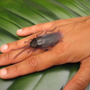Anillo de Plata Esterlina con Cucaracha de Silicona
