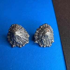 May include: A pair of silver-toned earrings shaped like seashells. The earrings have a textured, rough surface and a pointed tip.