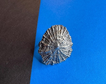 anillo lapa