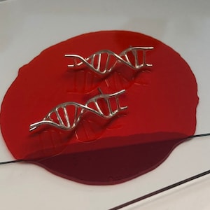 Könnte beinhalten: Zwei silberne DNA-Helix-Ohrringe auf rotem Hintergrund. Die Ohrringe sind aus dünnem Draht gefertigt und haben die Form einer Doppelhelix. Sie sind ein einzigartiges und stilvolles Schmuckstück.