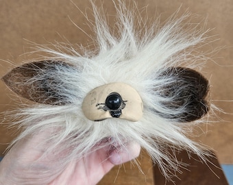 Boleti Fryp Heads