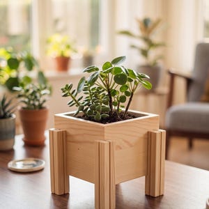 May include: A square light-colored wooden planter box with four thick, vertically grooved legs at each corner. The planter contains a green Pilea peperomioides plant with round, flat leaves and a small succulent with thick, fleshy green leaves.