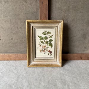 Marco de fotos francés antiguo de madera, blanco y dorado, años 50.