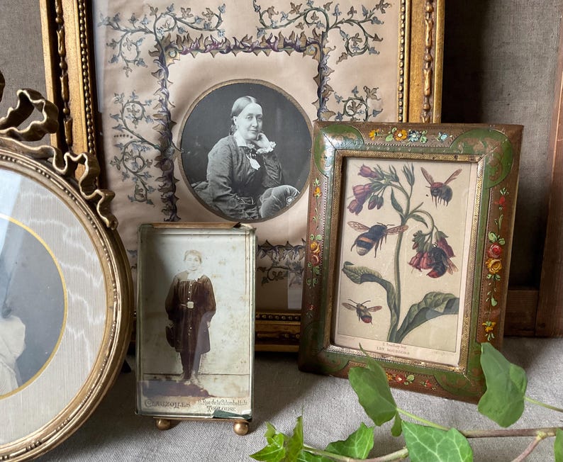 May include: A collection of antique framed pictures. Includes a portrait of a woman, a botanical print with bees, and a small photo of a child. The frames are gold and green, with ornate details.