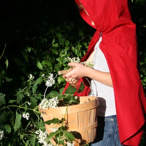 Little Red Riding Hood Cape Kid Size Standard Cape