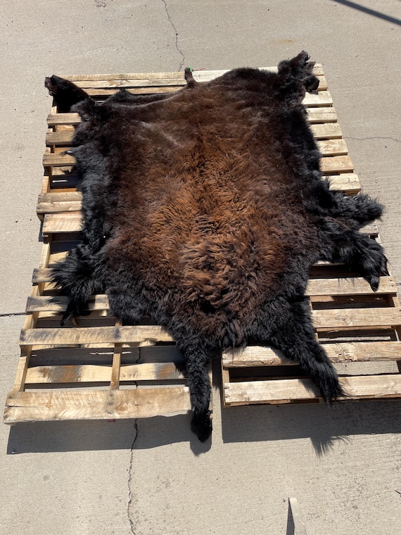 Bison Hide