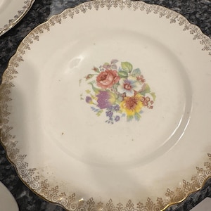 Radisson pattern salad and dessert plates  1848 by W.S.George Made in USA