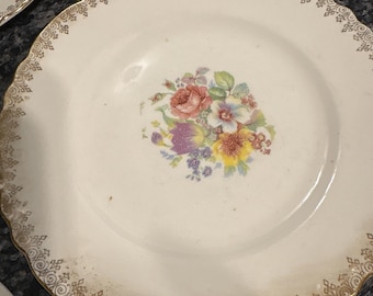 Radisson pattern salad and dessert plates  1848 by W.S.George Made in USA
