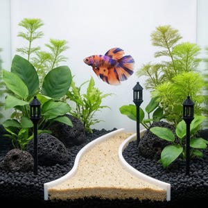 Puede incluir: Un vibrante pez betta con marcas naranjas, azules y moradas nada en un acuario. El tanque presenta un camino blanco, grava negra, plantas verdes y farolas negras en miniatura, creando una escena de jardín submarino.