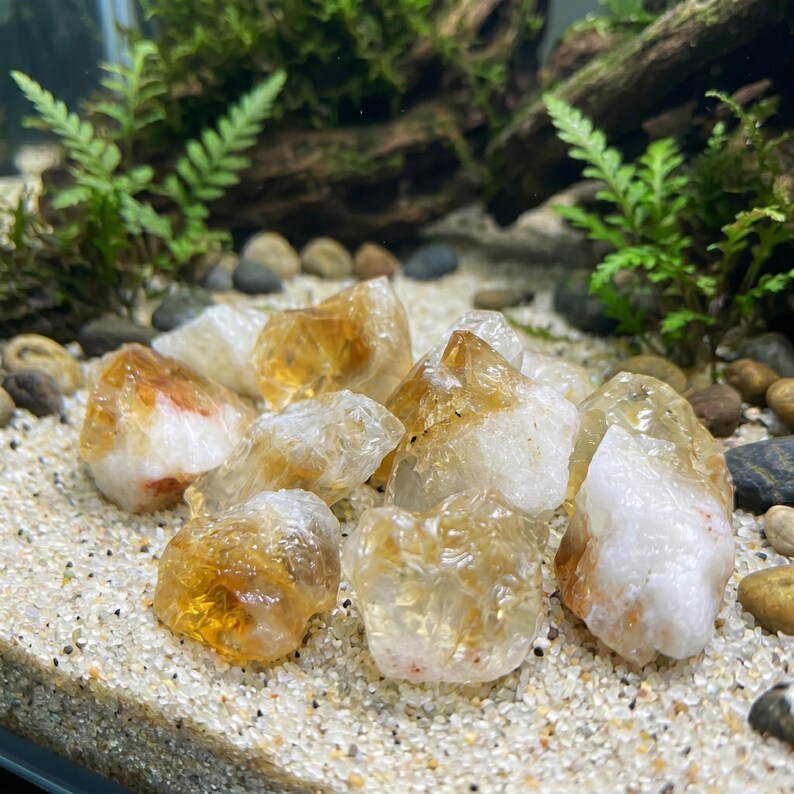 May include: A collection of raw citrine crystals, showcasing a mix of golden yellow and white hues. The crystals are clustered together on a bed of fine sand, with a backdrop of greenery and small stones, creating a natural aesthetic.