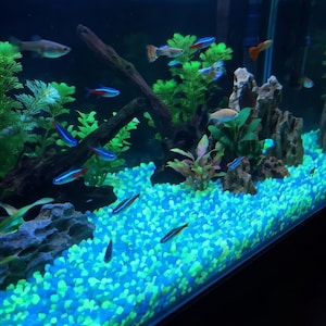 black light fish tank accessories Unikito 55-75 Gallon Aquarium Stand with Power Outlets & LED Light, UV Reactive Background GloFish Driftwood Ornament Color Changes