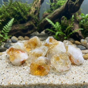 May include: A collection of raw citrine crystals, showcasing a range of golden and translucent hues. The crystals are resting on a bed of fine sand, with a backdrop of greenery and driftwood, creating a natural aesthetic.