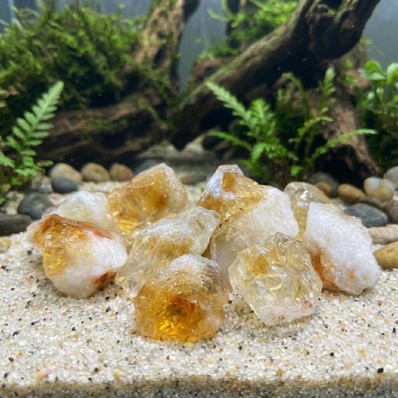 May include: A collection of raw citrine crystals, showcasing a range of golden and translucent hues. The crystals are resting on a bed of fine sand, with a backdrop of greenery and driftwood, creating a natural aesthetic.