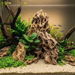 Naturlig drakesten Ohko-sten Akvariumdekoration, Aquascaping Hardscape Mikroporös Planterad Tankdekor