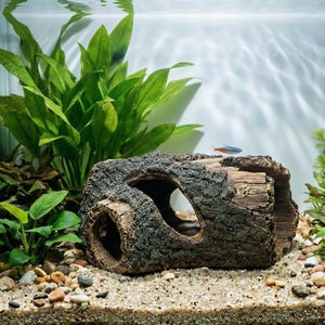 Ornamento in resina per acquario in legno - Rifugio cavo per pesci per acquari di gamberetti - Grotta sottomarina