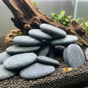 10pcs Natural Flat Stones Fish Tank Decor, Aquarium River Pebble Rock Set for Aquascaping