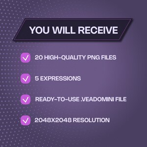 PNGTuber commission package inclusions and technical specifications. Instant download contents checklist: 20 high-quality PNG files with expressions, pre-configured veadomini profile for Veadotube Mini, and crisp 2048x2048 resolution optimized for streaming without lag.
