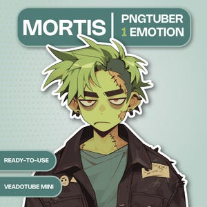 Zombie Boy PNGTuber Modell, Anime Undead Punk Avatar für Twitch, YouTube, Grumpy Green Guy VTuber, Vorgefertigte Veadotube Mini, Stream-Assets