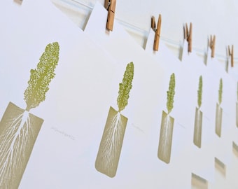 Lorbeer Pappel Linoldruck – Original italienische Kunst, limitierte Auflage 25 x 35 cm