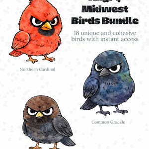 May include: An illustration titled "Angry Midwest Birds Bundle" featuring three cartoon birds: a red Northern Cardinal, a blue Common Grackle, and a brown Brown-headed Cowbird. The image includes text that says "18 unique and cohesive birds with instant access."