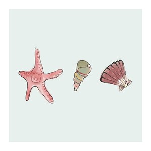Set of 3 Seashell Art Prints, SeaShell Illustrations, Nautical Ocean Wall Decor, Modern Seashell Drawings, Giclée Print