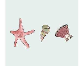 Set of 3 Seashell Art Prints, SeaShell Illustrations, Nautical Ocean Wall Decor, Modern Seashell Drawings, Giclée Print